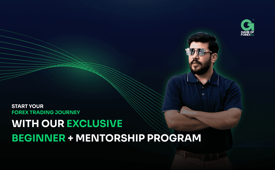 Beginner + Mentorship Program