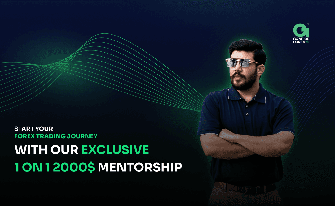 1 ON 1 Mentorship